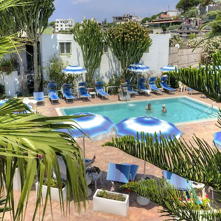 In Bb - Forio With A Breathtaking View, For 2 People No5469 * Ischia