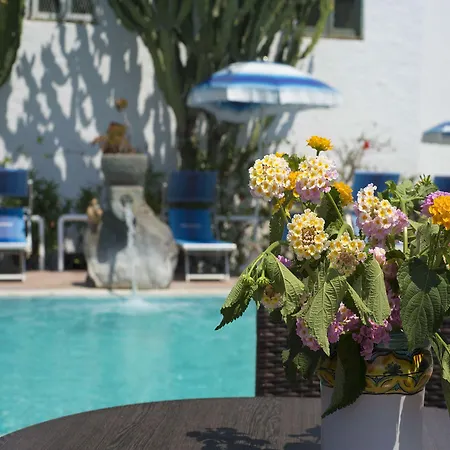 Gasthuis In Bb - Forio With A Breathtaking View, For 2 People No5469 Ischia